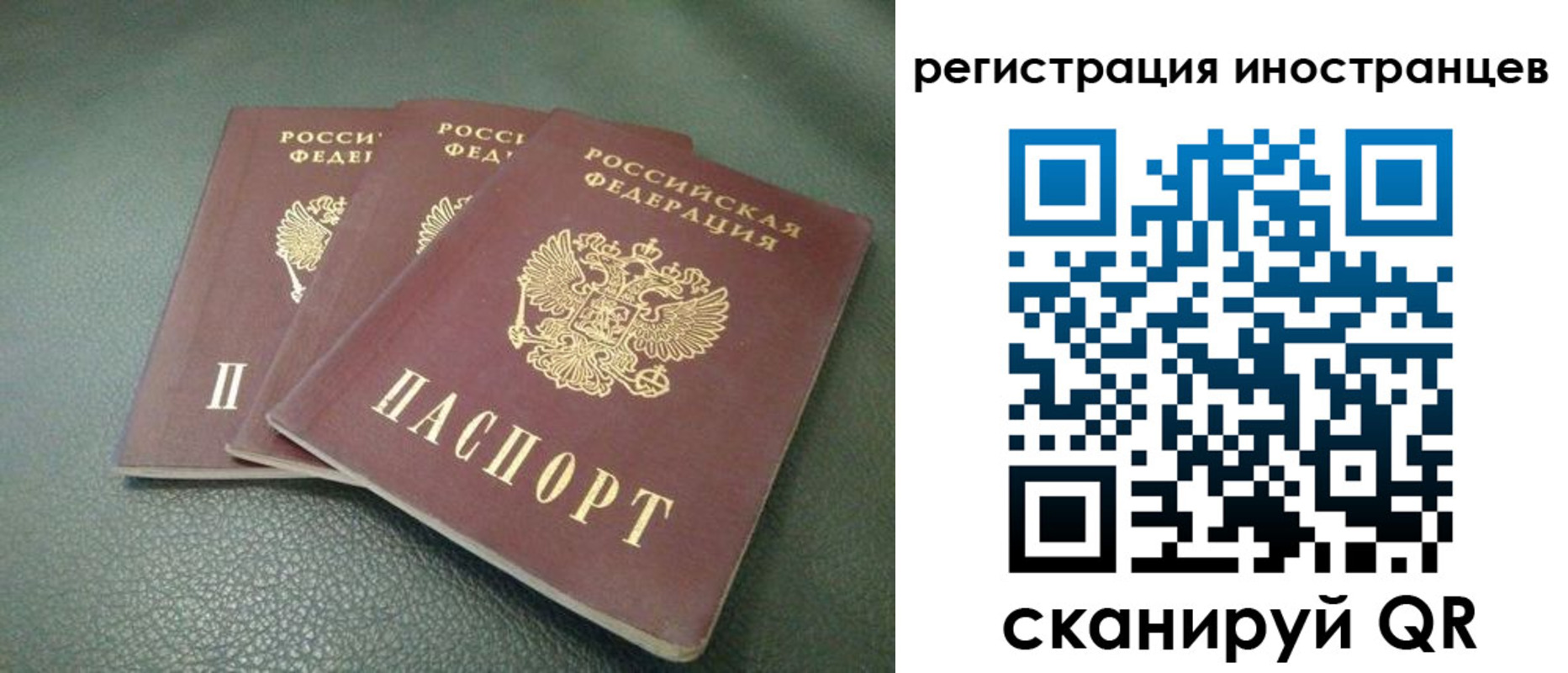 прописка от собственника в Щиграх